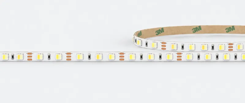 SMD5050 2 in 1 Tunable White series