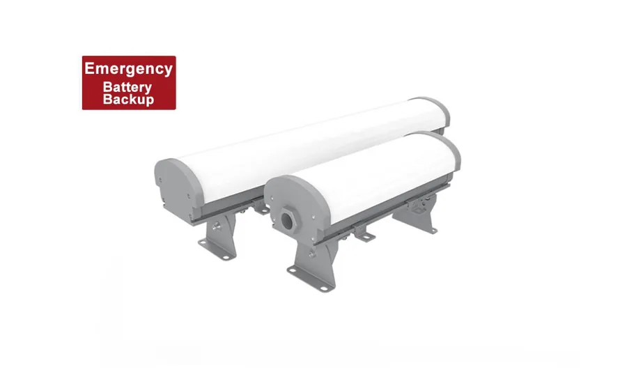 1ft 2ft Explosion Proof Emergency Light - 1.5 Hours Battery Backup — CESP-EX-LN-02P-228