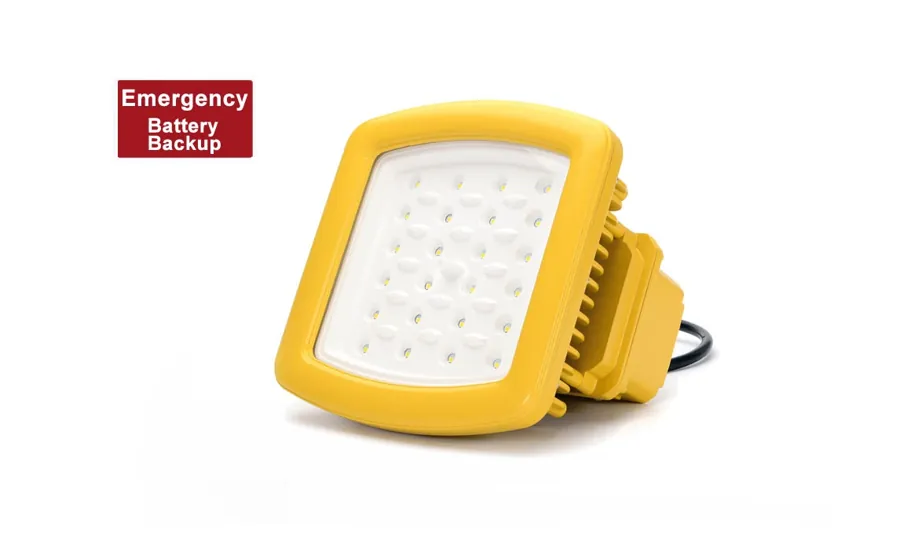 Explosion Proof Emergency Light 1.5 Hours - Class 1 Division 2 - 20W/30W/40W — CESP-J40S-219