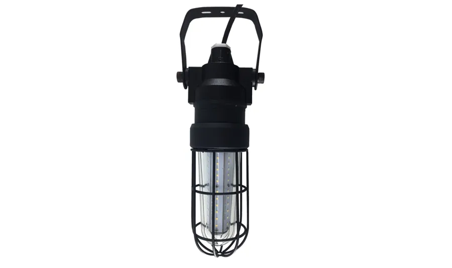 Explosion Proof LED Drop Light - 360 Beam Angle - 30W — CESP-EX-211