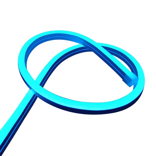 Neon & flexible light