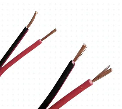 2-PIN STRIP CABLE PS-EG-0176
