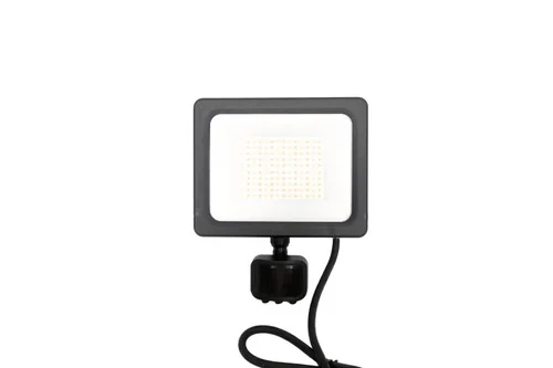 DUAL POWER 30/40/50W SENSOR FLOOD LIGHT PS-EG-0329