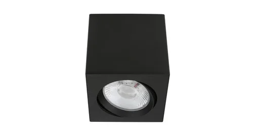LED SURFACE MOUNT LIGHT (SE-DL129-10W) — PS-EG-0624
